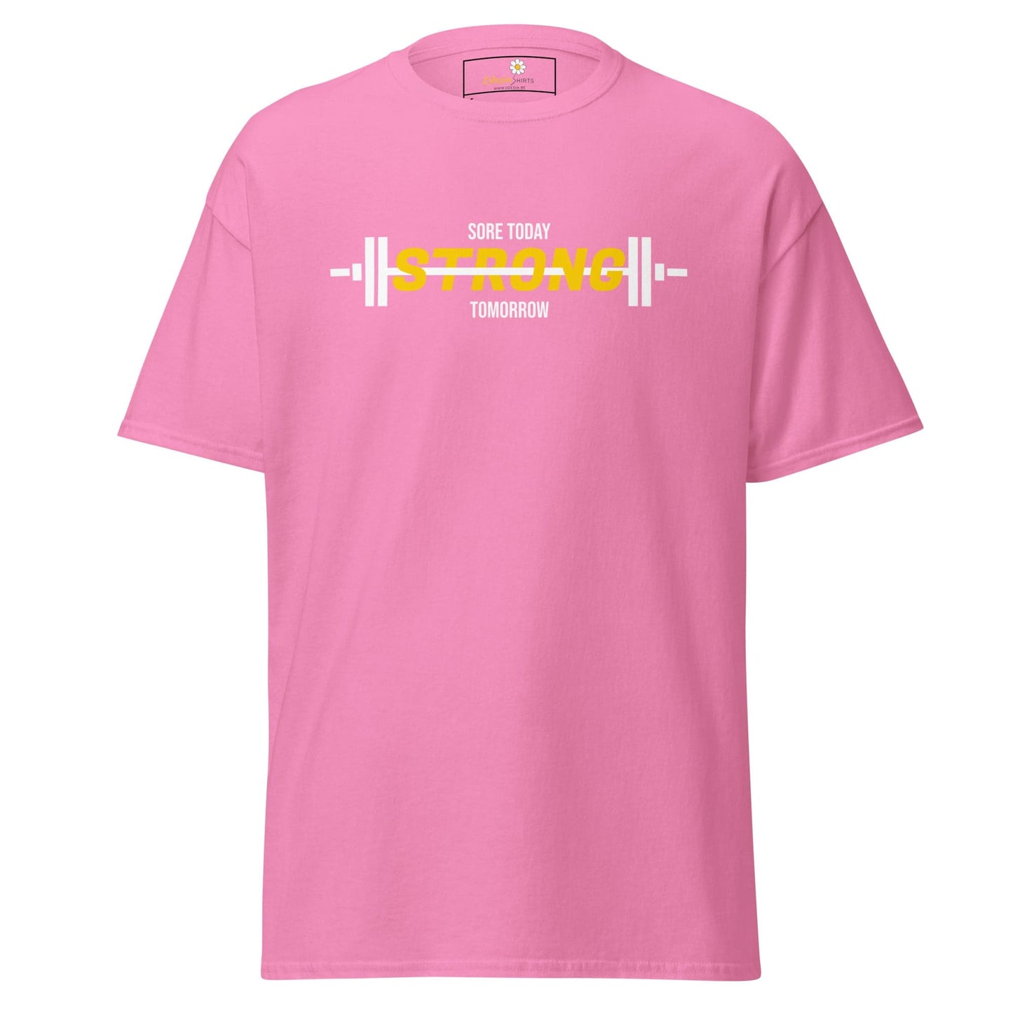 Unisex classic t-shirt - SPORT SORE TODAY - REGULAR - Azalea / S